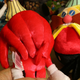 This one was just an excuse to take a picture of Knuckles’ butt.